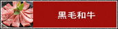 黒毛和牛